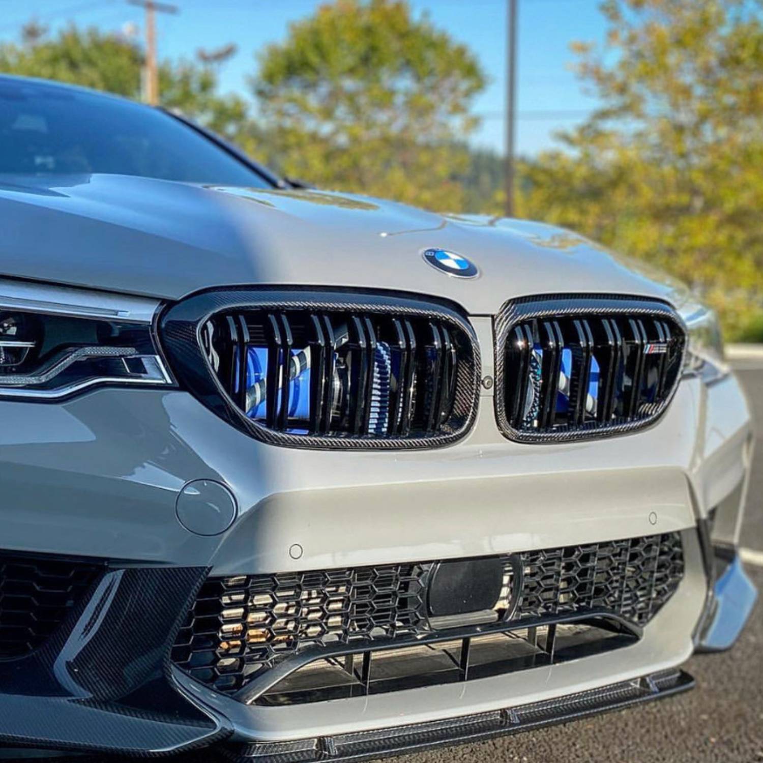 Grille à double lamelle BMW Série 5 G30 & M5 F90 Carbone (2017-2020)